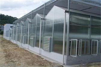 陽(yáng)光板花卉溫室工程案例